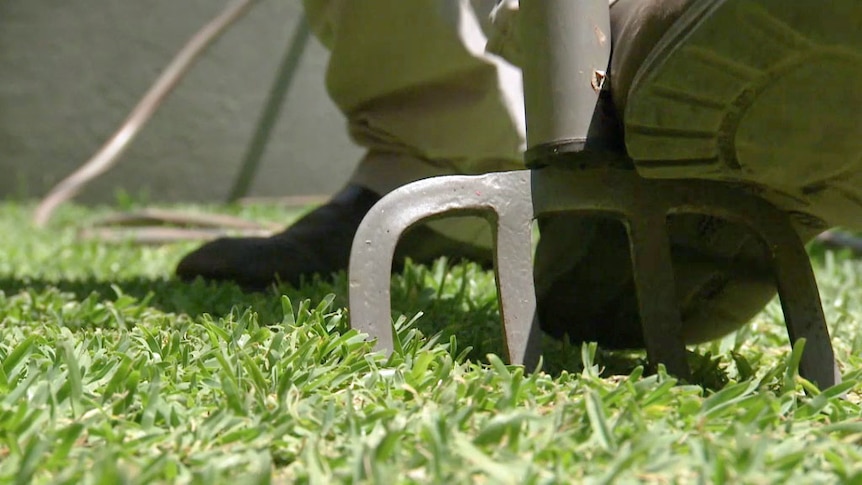 Garden fork being pushed into lawn with foot