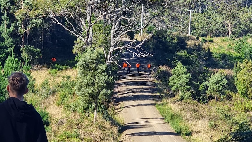 SES personnel in bushland at Stormlea during search for Shayla Phillips.