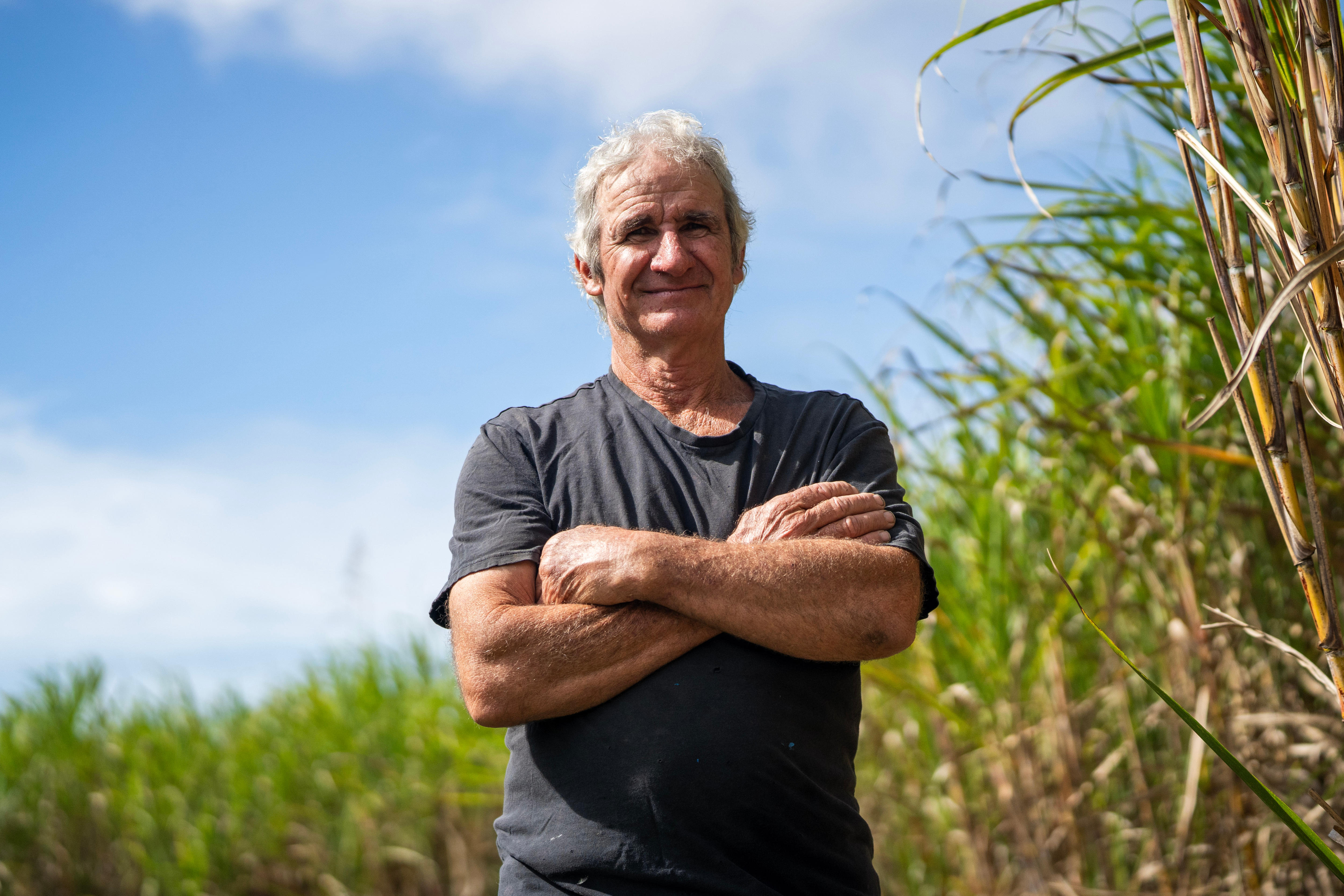 An older man stands with arms crossed in front of sugar cane.
