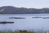 Tassal's salmon pens in the water at Dover, southern Tasmania.