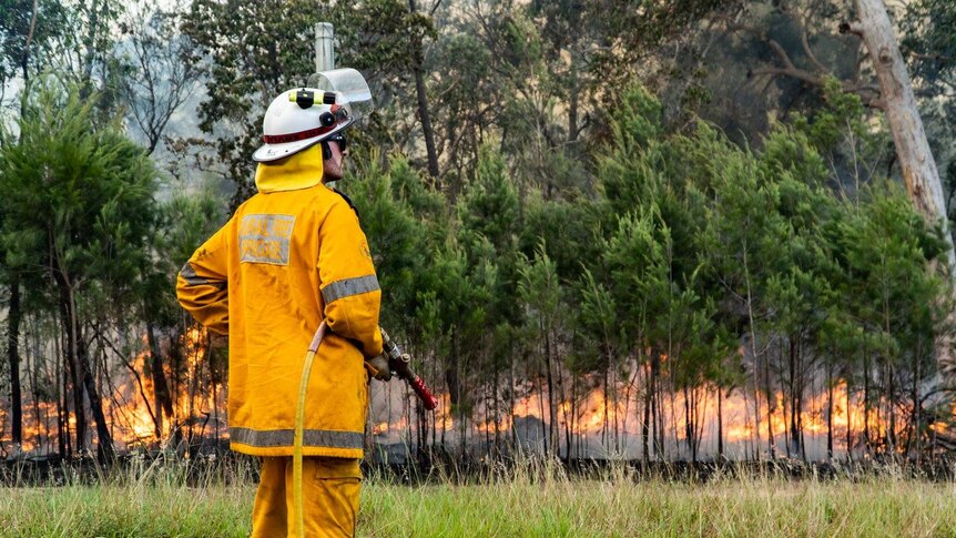 A firefighter watches a blaze at Noosa, Queensland.