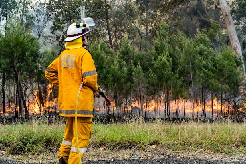 Un pompiere osserva un incendio a Noosa, nel Queensland.
