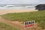 The attack happened at Ballina's Lighthouse Beach.