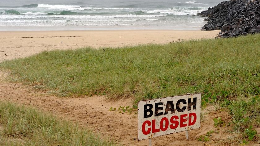 Murky water and overcast conditions have made a search for the shark impossible.