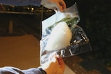 A white substance inside a vacuum sealed bag is held by an officer.
