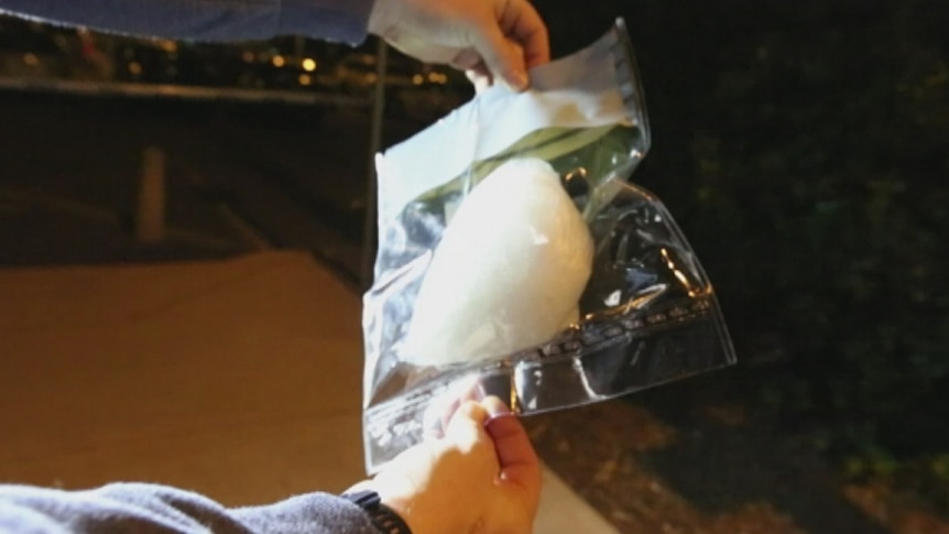 A white substance inside a vacuum sealed bag is held by an officer.