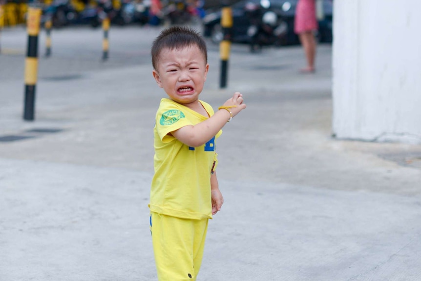 A Singaporean toddler throwing a tantrum.