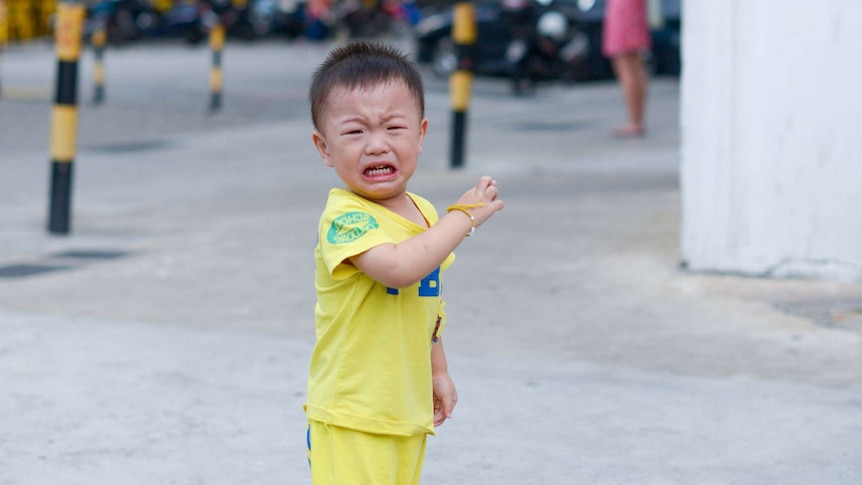 A Singaporean toddler throwing a tantrum.