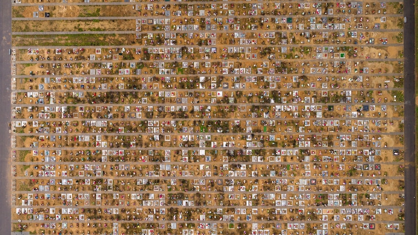 An aerial view of a burial cite showing many fresh graves. 
