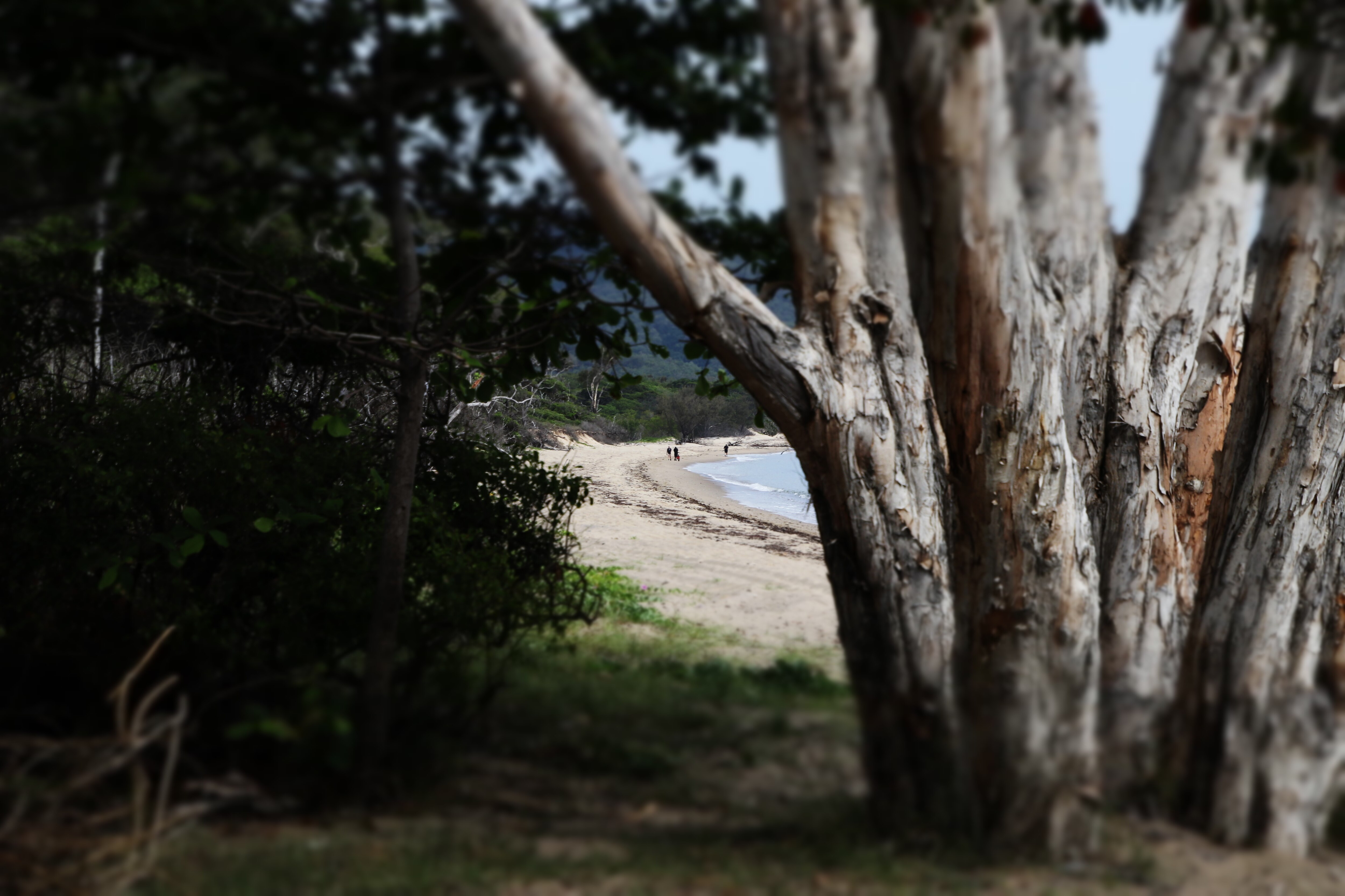 Fotos de playa en un día soleado