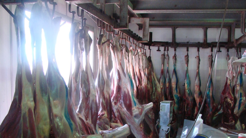 Kangaroo meat imports remain banned by the Russians