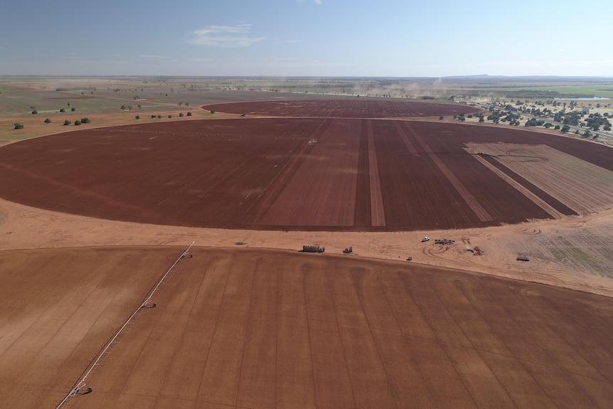 Image of a red soil farm.