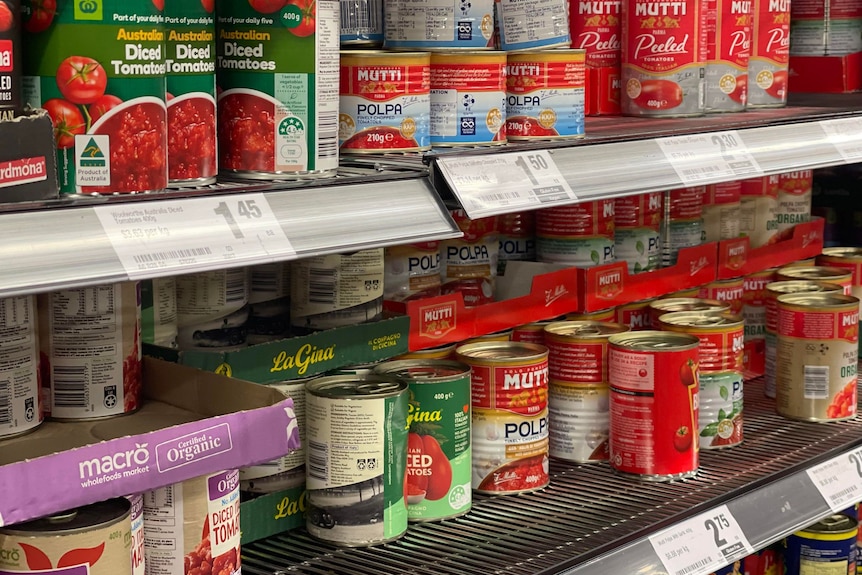 Tins of tomatos on a supermarket shelf 
