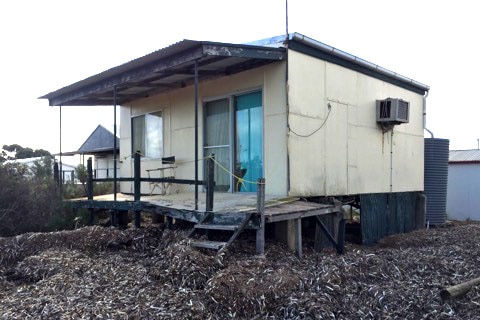 High tides have washed seaweed past this coastal shack