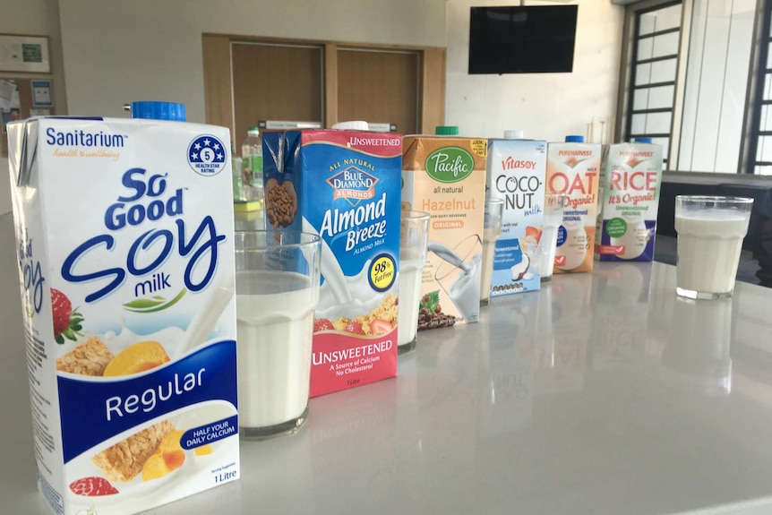 An assortment of alternative milks