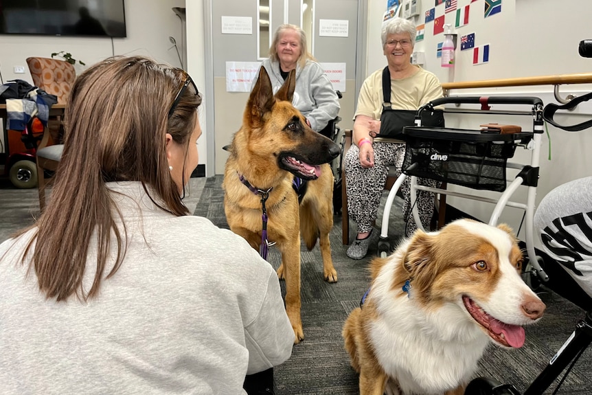 Two hospital patients with two therapy dogs and their handler.