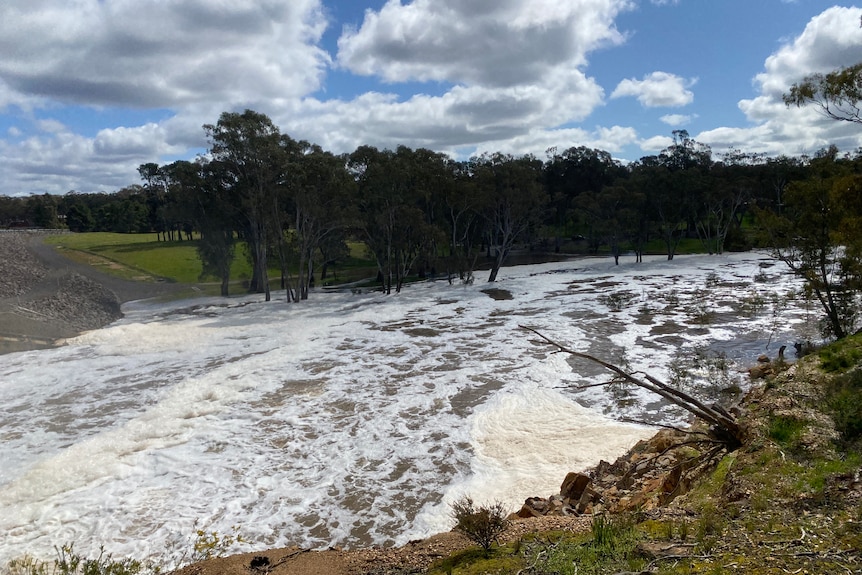 A fast-flowing water body surrounded by trees and green grass under a blue and partly cloudy sky.