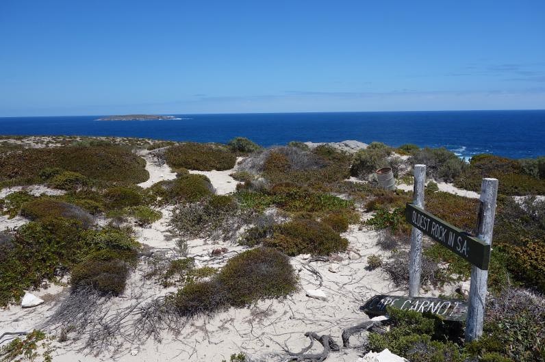The sea is seen in the distance with sand dunes with small shrubs growing in front. A sign points to the oldest rock in SA.