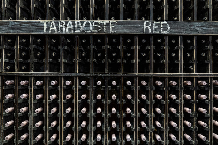 A wall in the cellar of Chateau Vartely Wines in Moldova holding hundreds of bottles of wine.