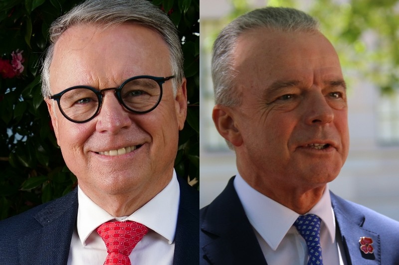 A composite image of Joel Fitzgibbon and Brendan Nelson