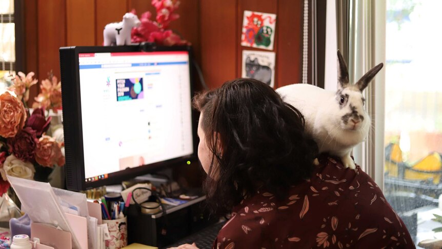 A rabbit sits on the shoulder of a woman who is using the computer.