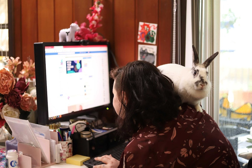 A rabbit sits on the shoulder of a woman who is using the computer.