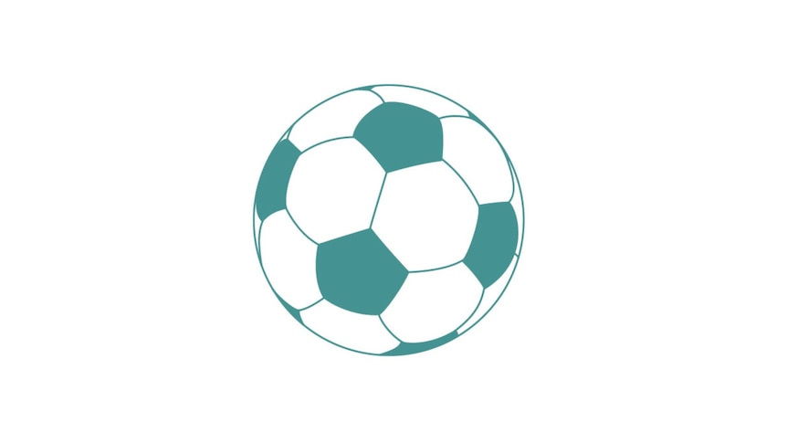 A green cartoon image of a soccer ball
