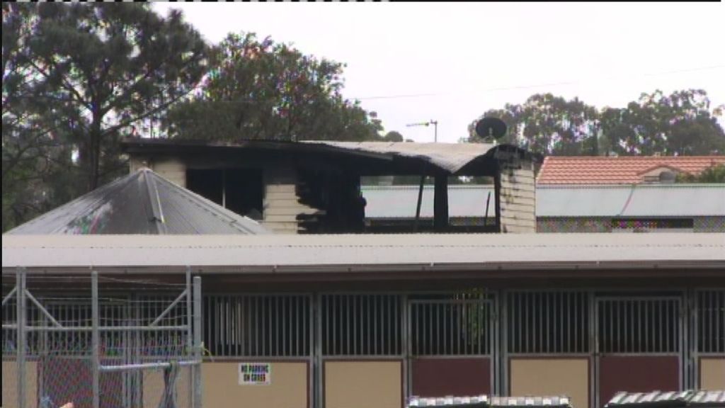 Man in hospital after stable fire on Gold Coast - ABC News