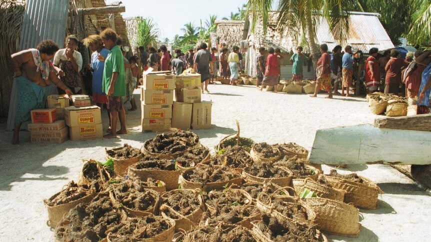 Baskets full of taro at a settlement on Takuu atoll, Papua New Guinea