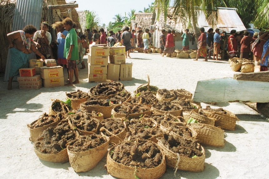 Baskets full of taro at a settlement on Takuu atoll, Papua New Guinea