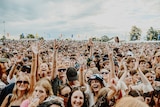 A crowd of young Groovin The Moo festival-goers raise their hands and cheer.