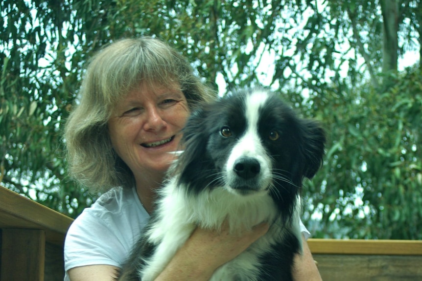 A grey-haired woman cuddles a black and white border collie.