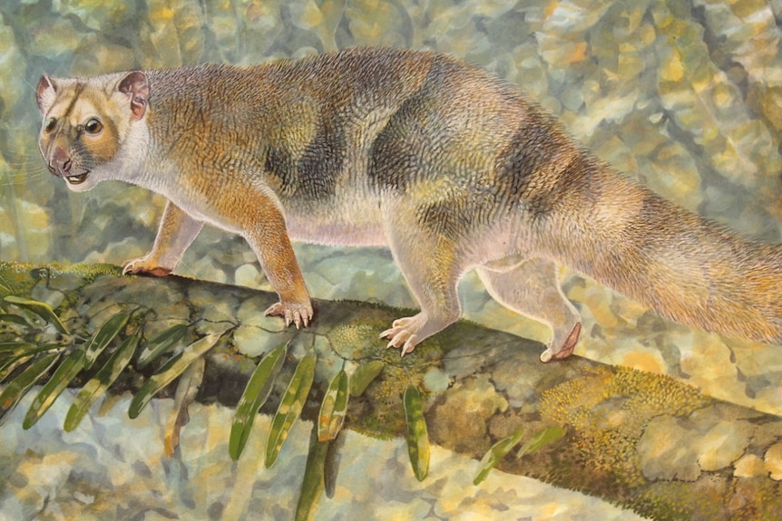 An artist's drawing of the prehistoric marsupial on a tree.