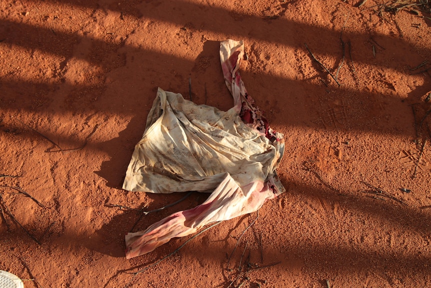 An old, stained shirt abandoned on the red sand of rural Western Australia