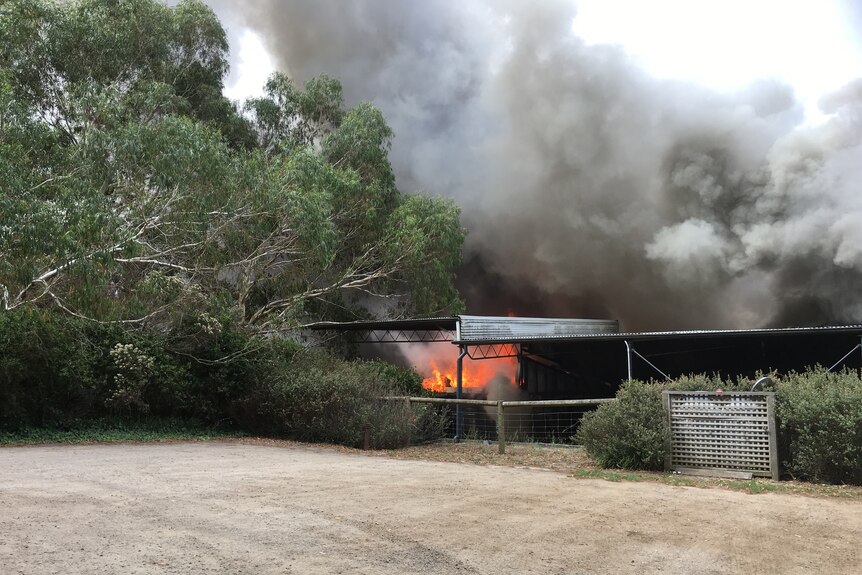 Fire breaks out at Ten Minutes By Tractor winery