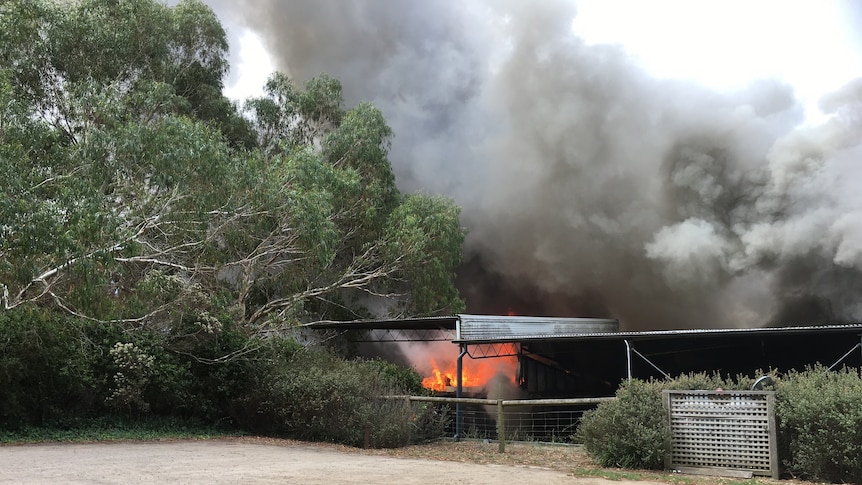 Fire breaks out at Ten Minutes By Tractor winery