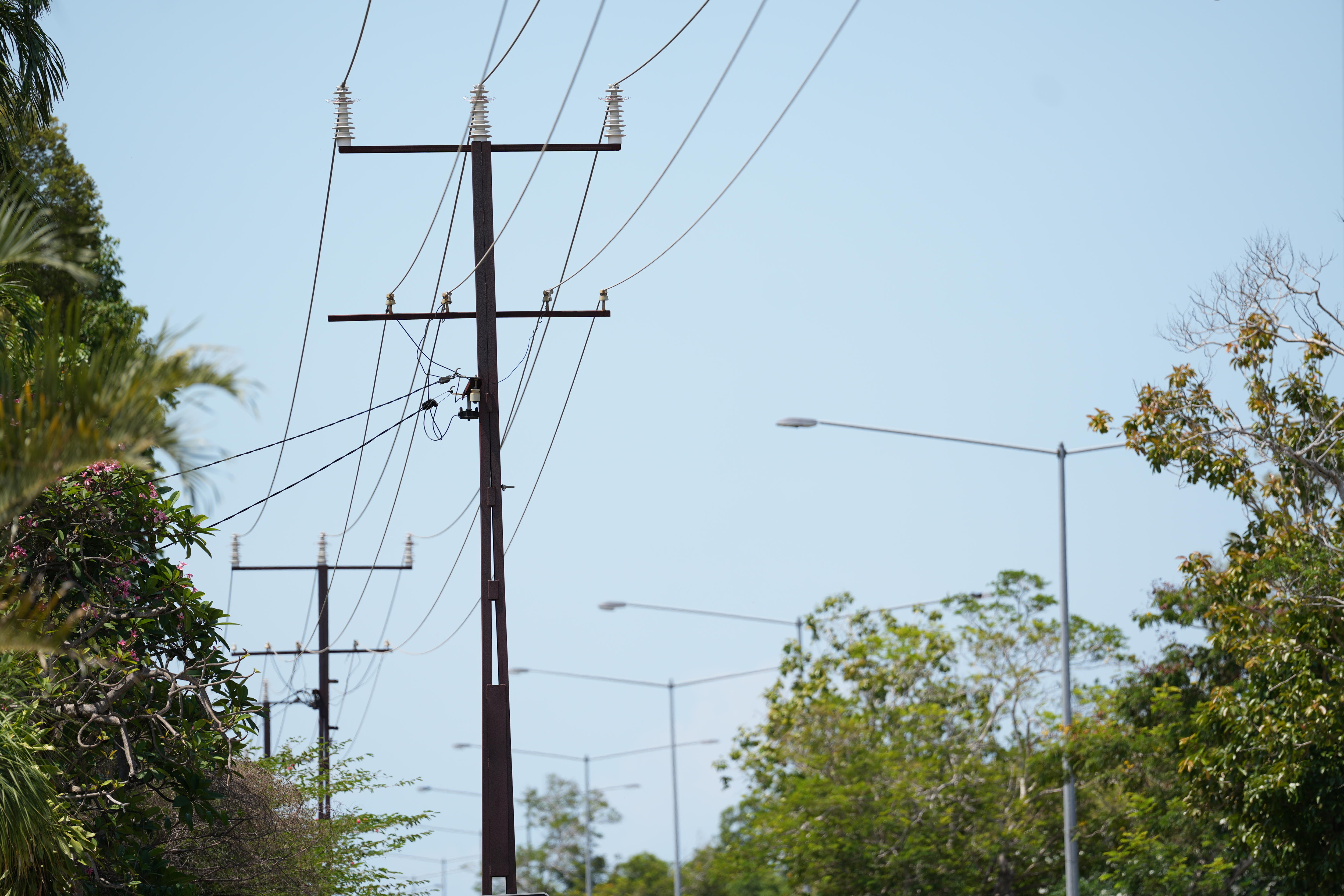 Power lines on a leafy green street.