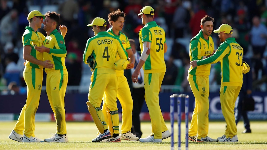 A winning team of cricketers shake hands after a match at the Cricket World Cup.