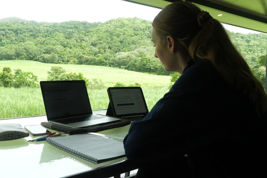 A woman studies at an outside table with sugar cane paddocks in the background.