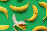 Banana republic 不是香蕉共和国。