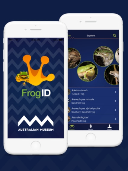 An image of the interface of the Frog ID app on two smartphones.