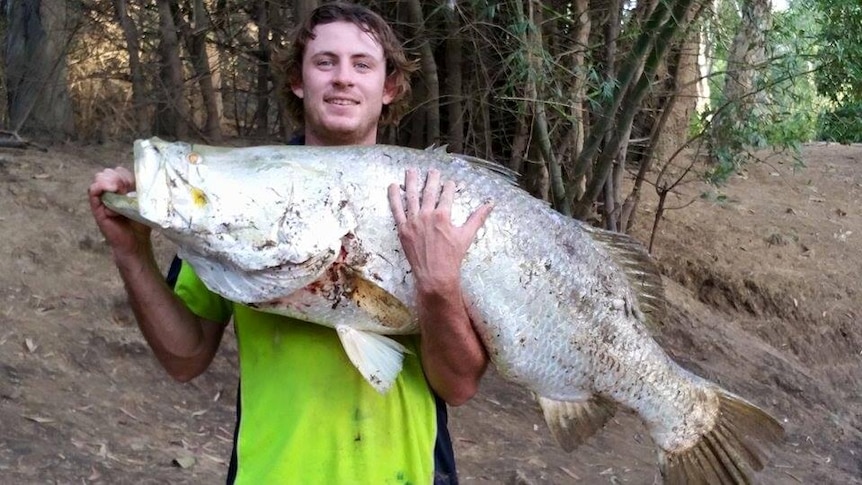 a man holding a giant fish