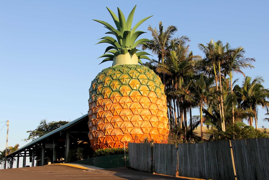 The Big Pineapple.