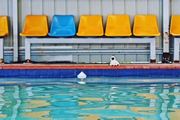 Swimming pool with no one in it