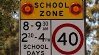 Singleton and New Lambton among the state's worst locations for traffic infringements in school zones.