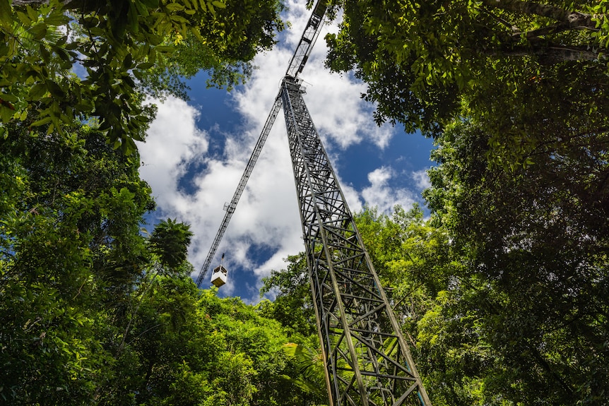 A canopy crane in a clearing in the Daintree rainforest