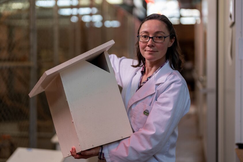 A woman in a lab coat holds a box used as a nesting box for marsupials after fires.