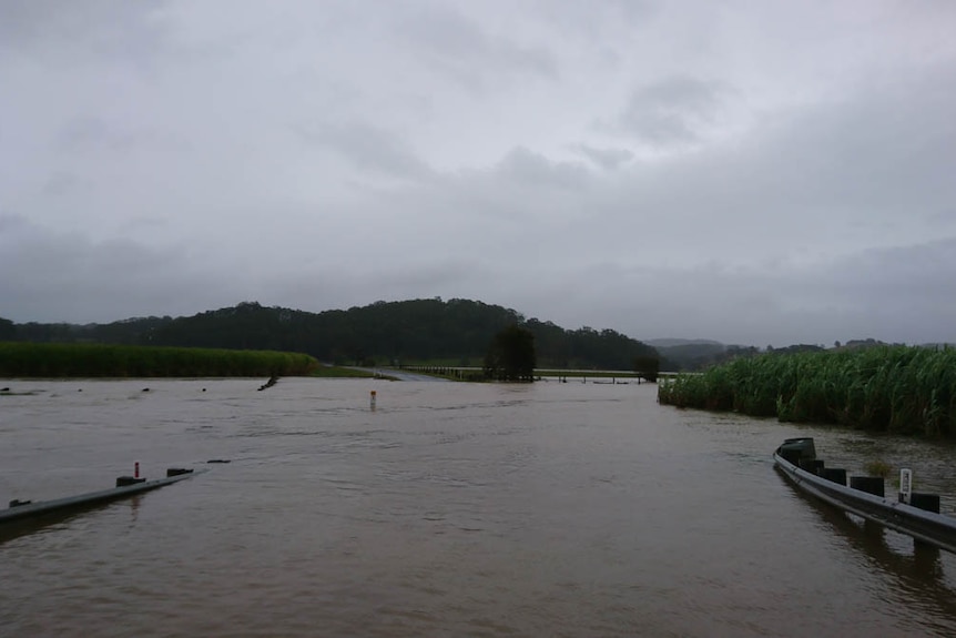 Flooded Round Mountain Road near the Pacific Highway in the Tweed region of northern NSW.