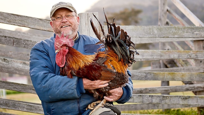An older man holding a rooster
