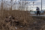 A pile of cardboard boxes sits discarded among tall brown grass. A man walks past in the distance